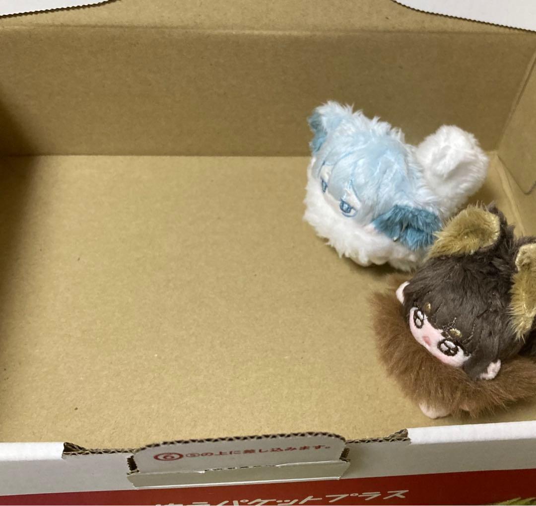 セミオーダー・わた