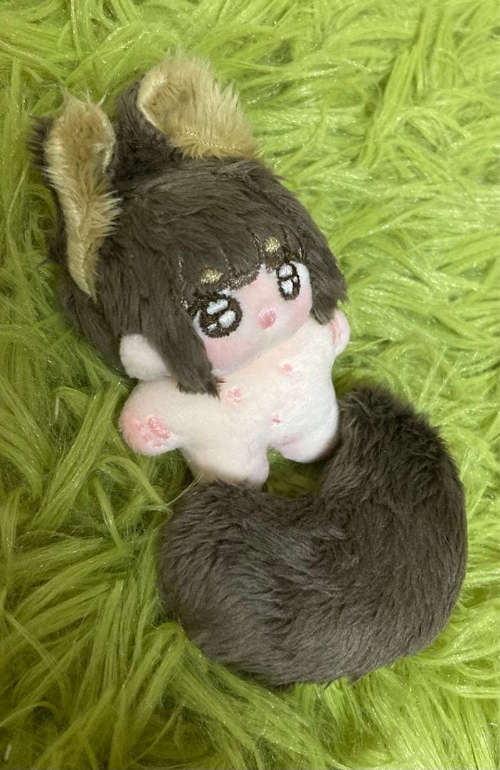 セミオーダー・わた