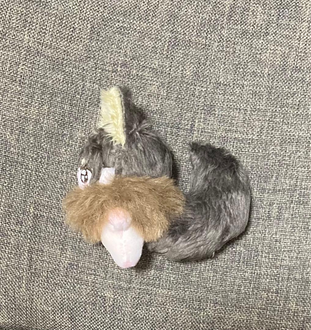 セミオーダー・わた