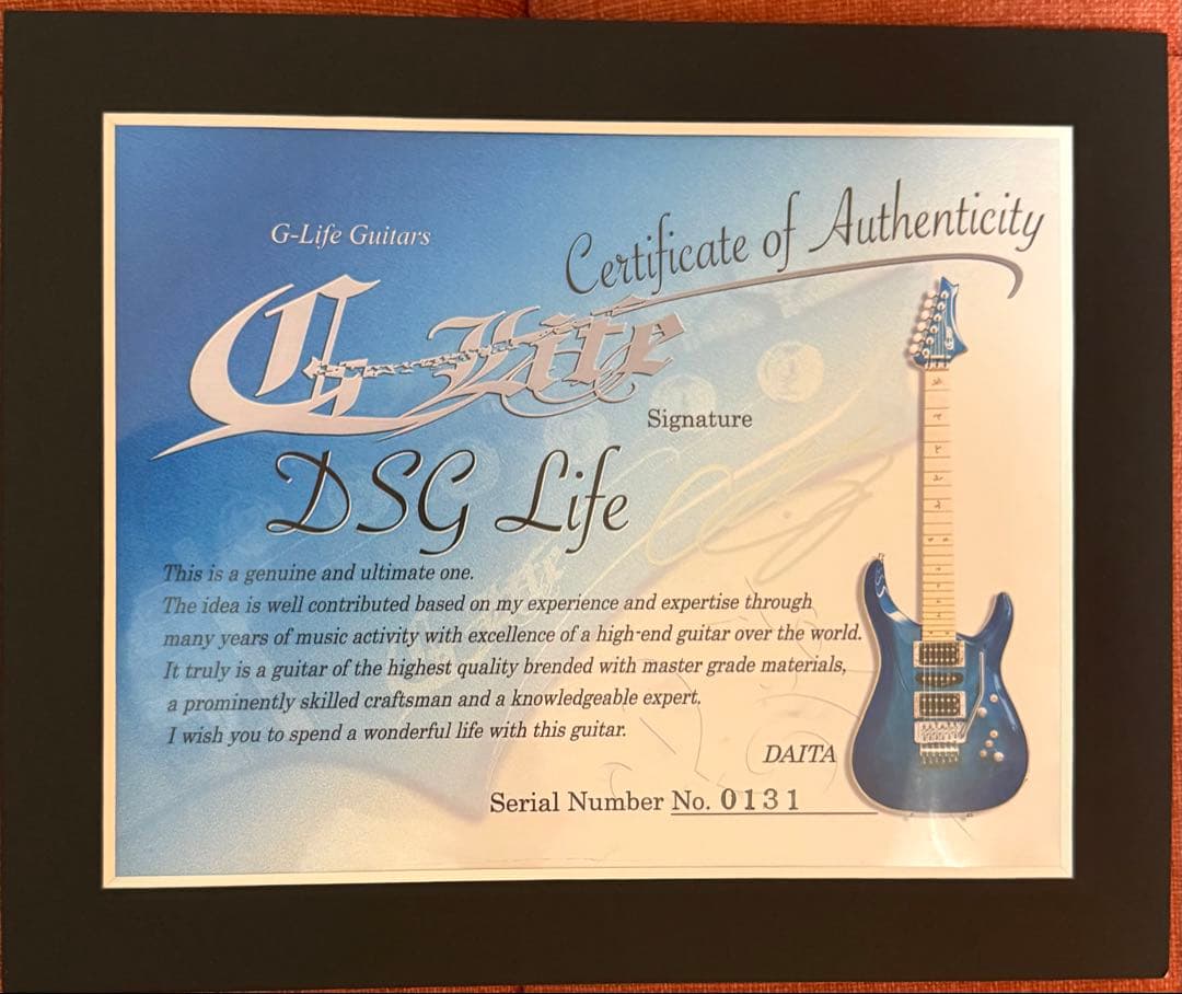 G-LIFE “DSG Life-Ash
