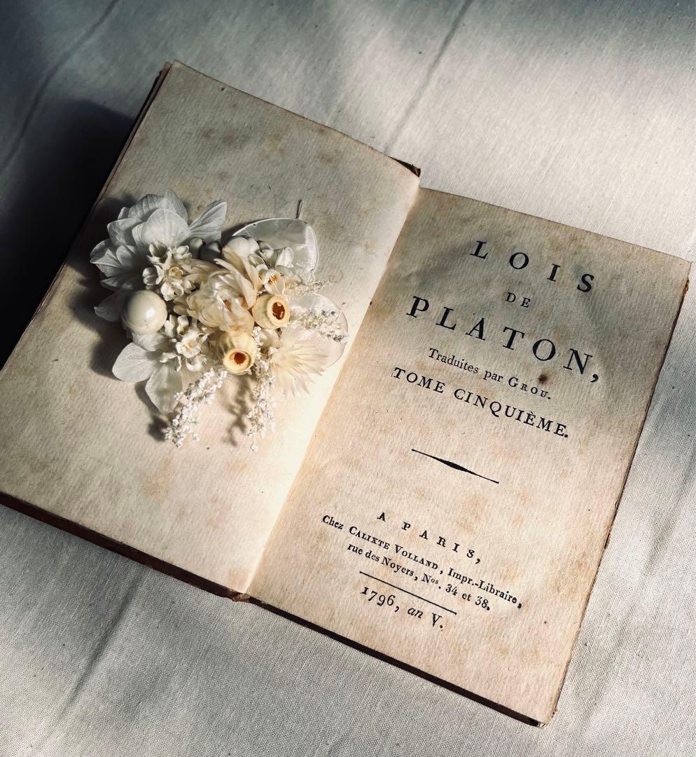 フラワー・ガーデニング corsage no.775