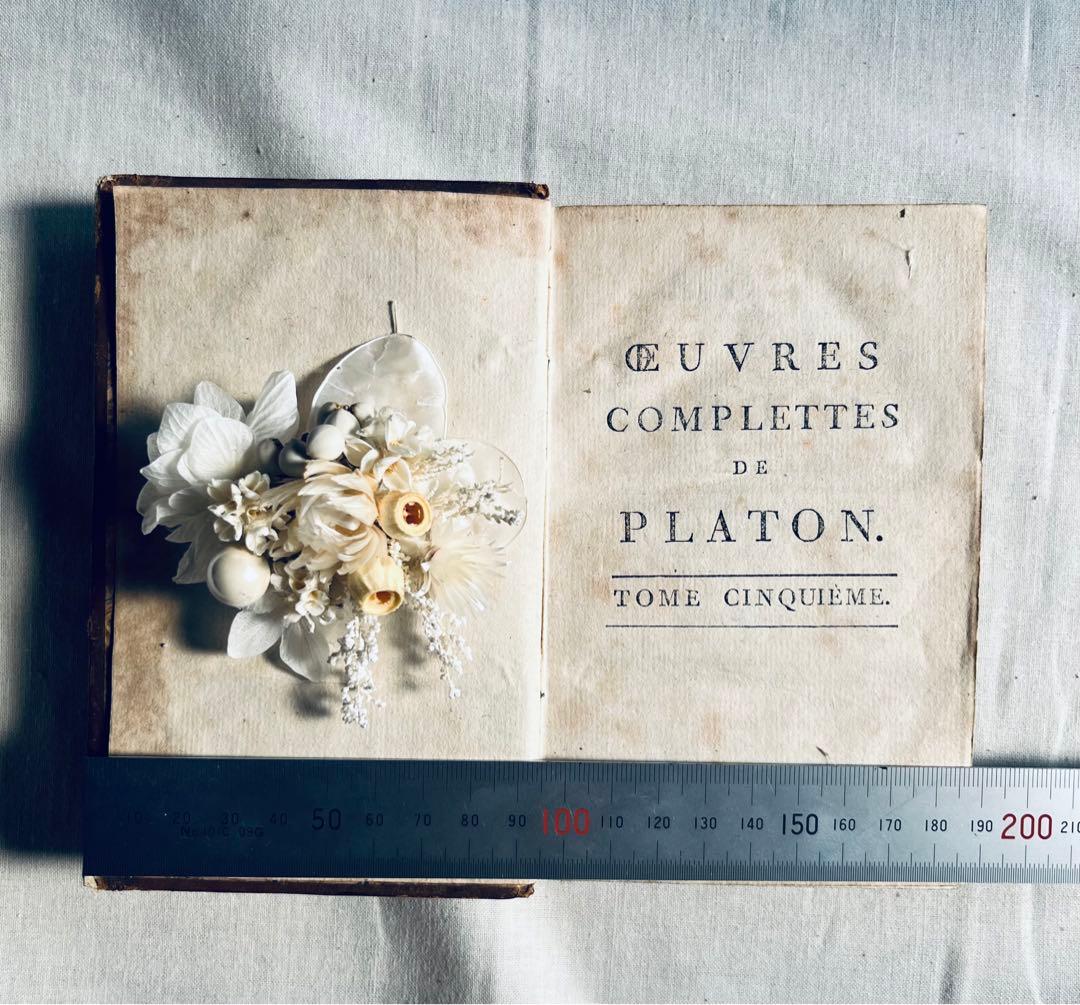 フラワー・ガーデニング corsage no.775