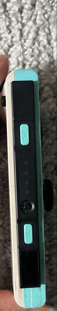 だ*く様 あつまれどうぶつの森　switch本体　ケース付き(付属品全てあり)