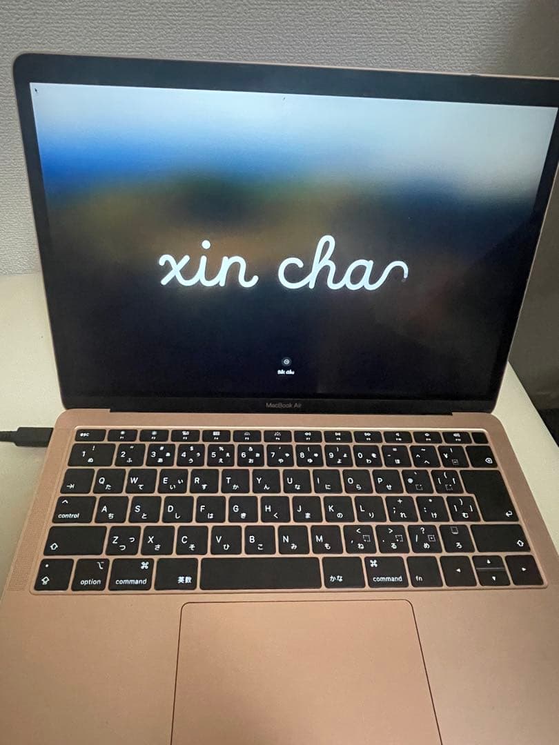 ヤマトさん専用