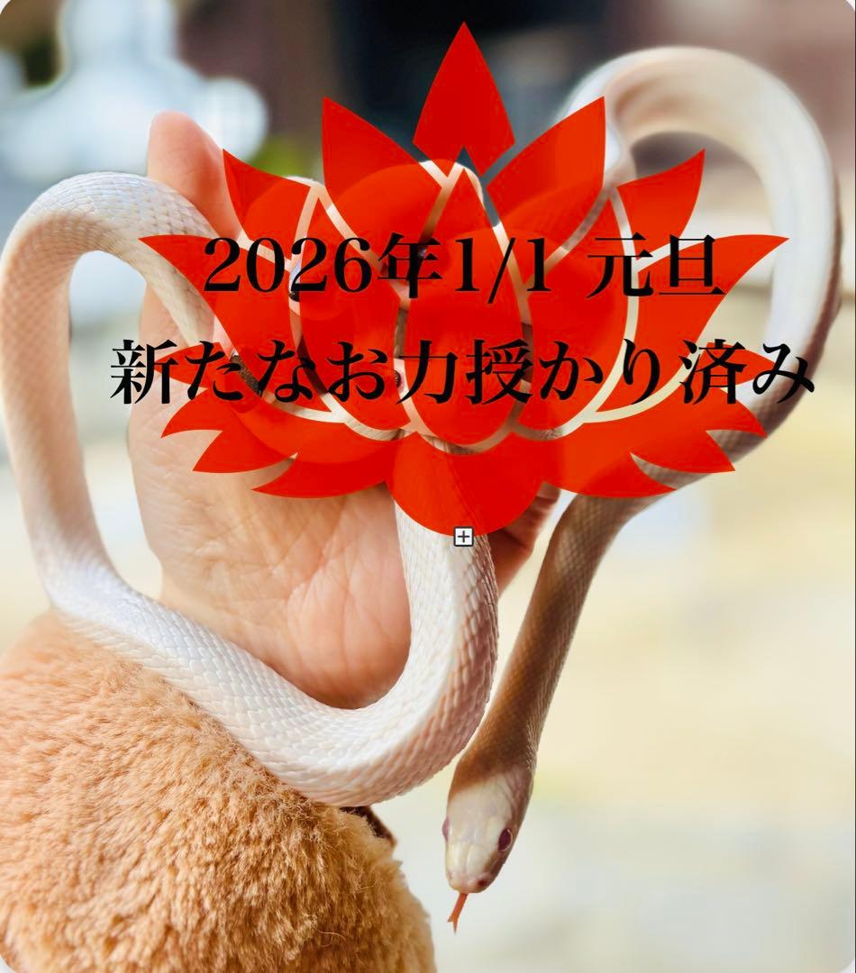 感謝価格❤︎希少❤︎龍神が宿る龍穴♥ネイティブアメリカンの守り❤︎ソーラークォーツ