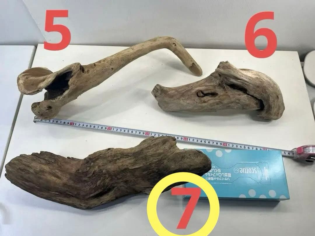 R70アク抜き済み流木 爬虫類シェルター レイアウト用 インテリア エアプランツ