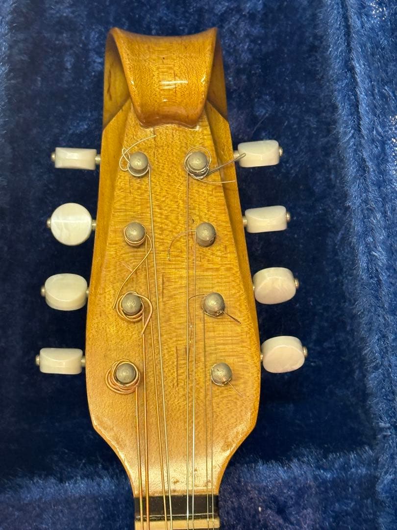 マンドリンSUZUKI M-100 ケースとセット