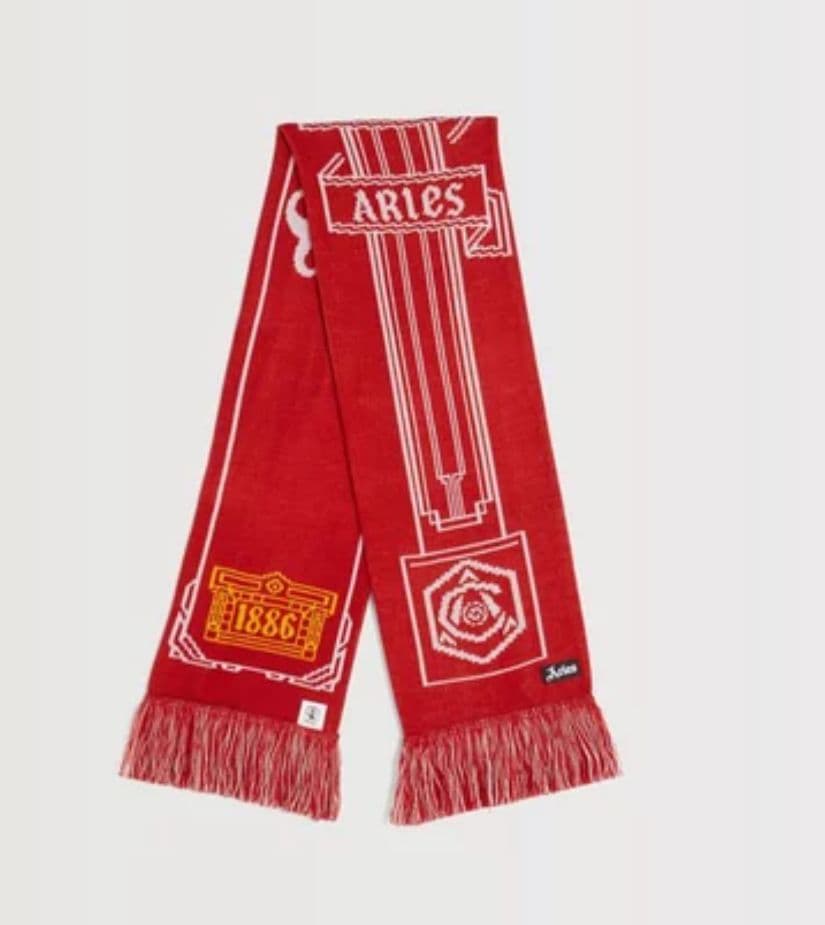 【新品】arsenal aries column logo scarf