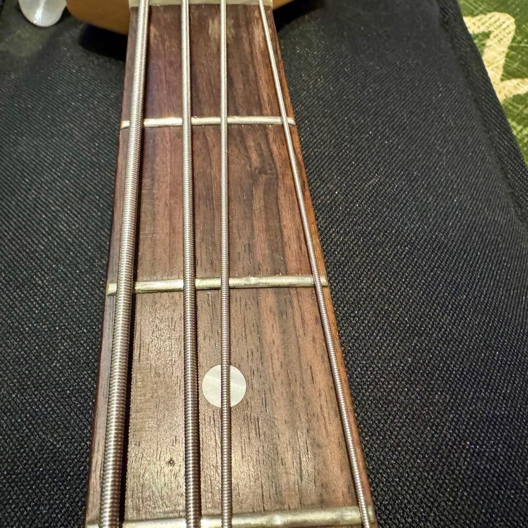 Musicman sterling Ray34 スティングレイ 小傷アリ