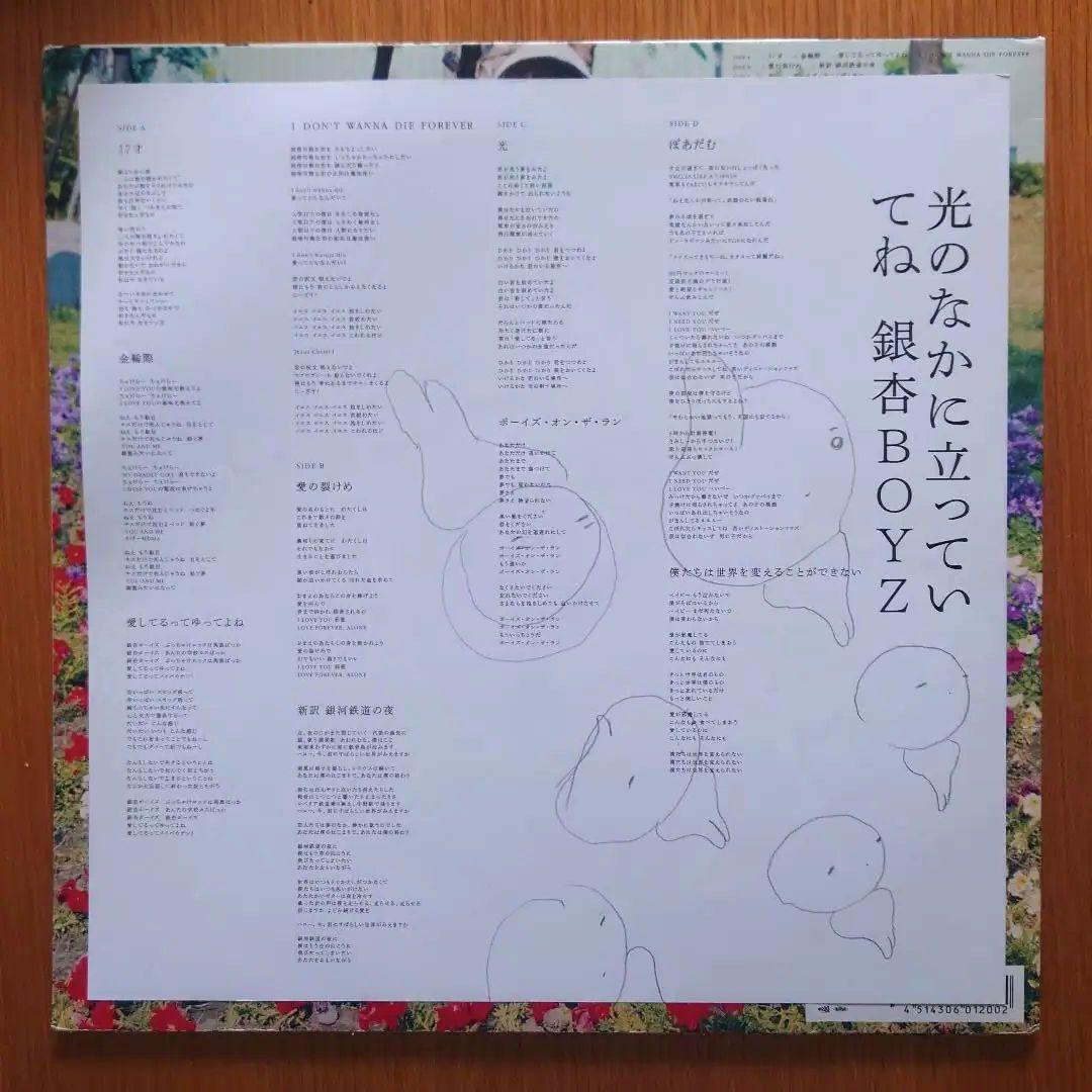 銀杏BOYZ 光のなかに立っていてね　アナログ　レコード