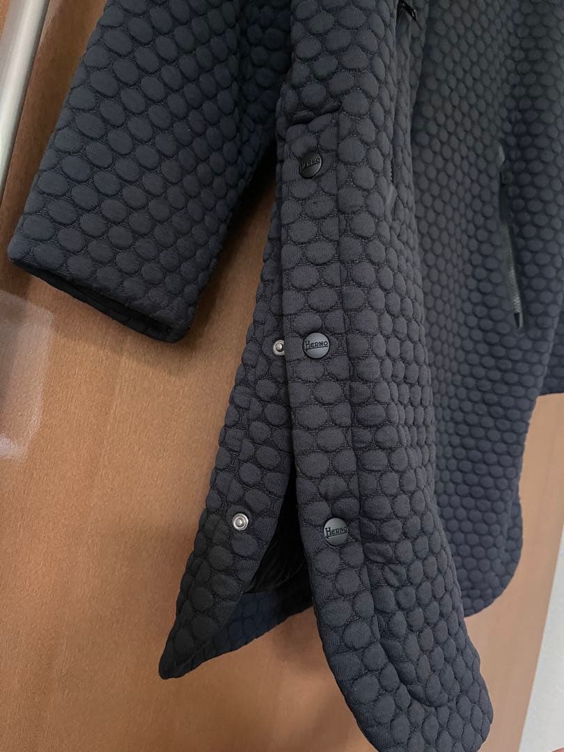 HERNOヘルノ LAMINARダウンコート 黒 フード付き19AW 定価20万