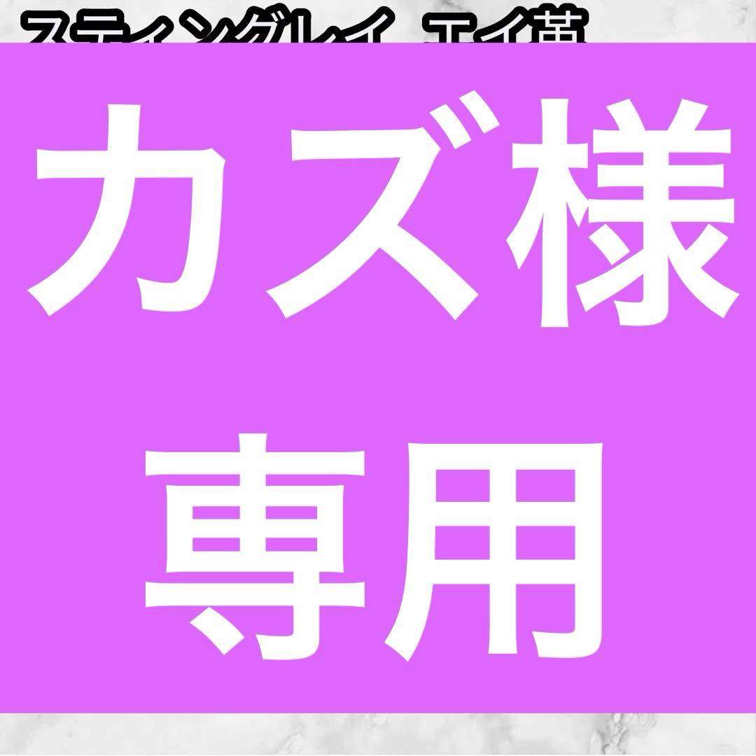 RAISE スティングレイ エイ革 ラウンドファスナー 財布 黒 スターマーク