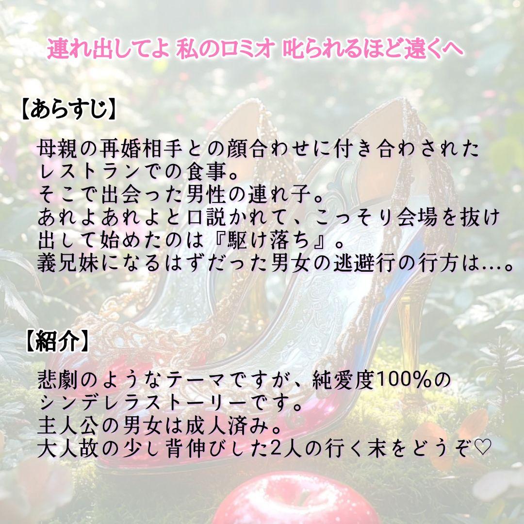 ハンドメイド小説(既製品)