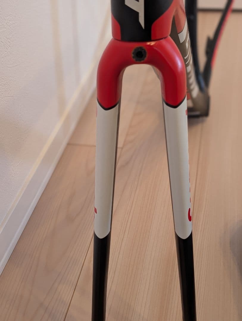 GIANT TCR advanced PRO team Sunweb フレーム