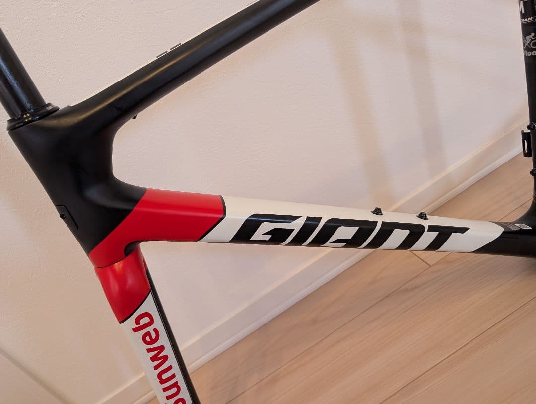 GIANT TCR advanced PRO team Sunweb フレーム