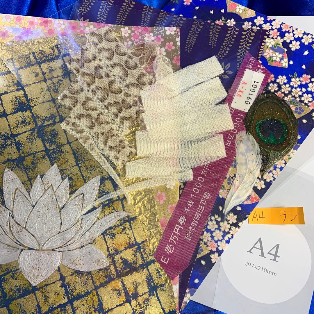 のりこ 白蛇 マムシ 切らず一匹 額 お守り 蓮 金運 縁起物 金 虹の衣