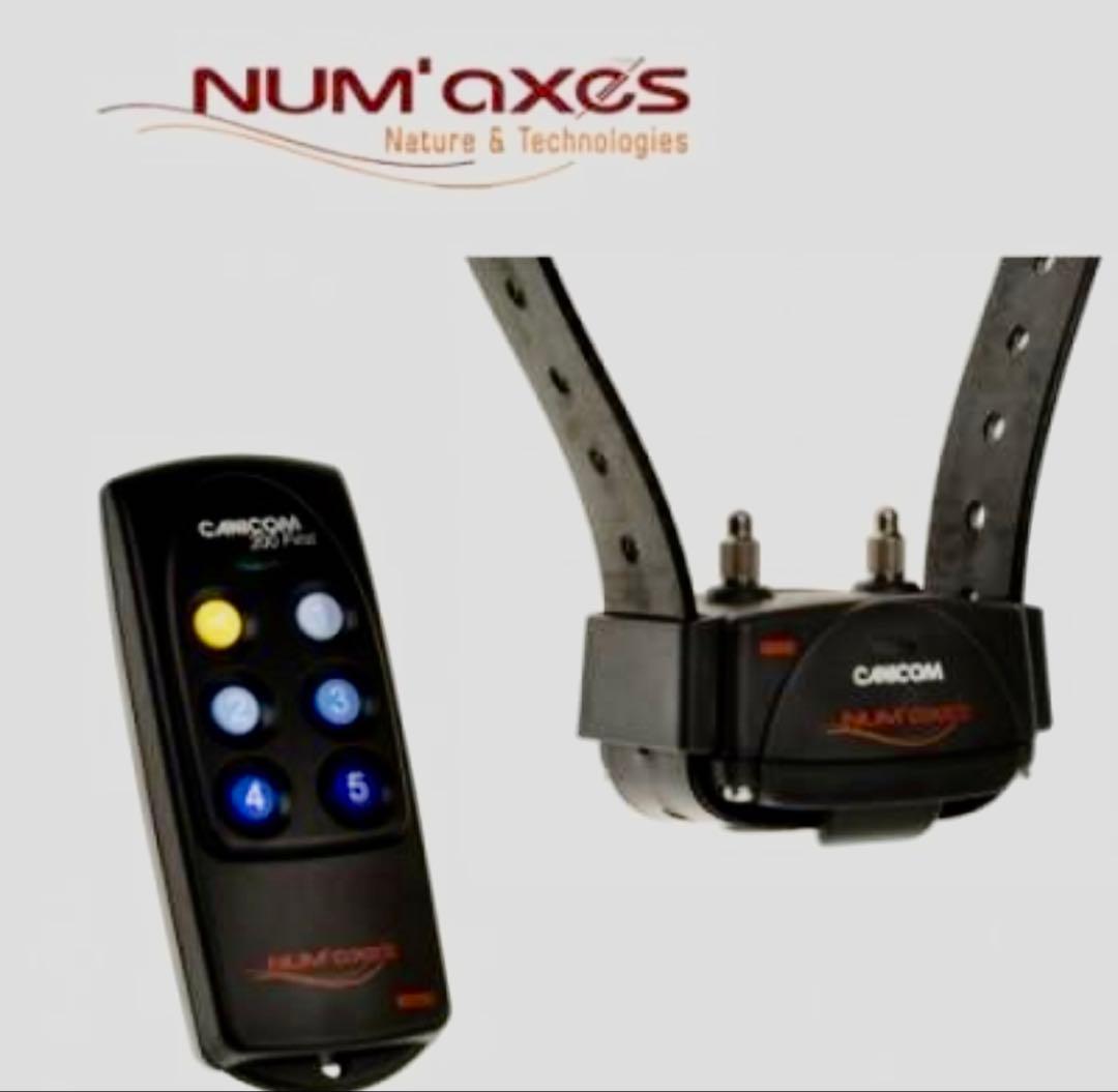 リモート　ペットトレーニング器具　犬しつけ用首輪　※電池交換要