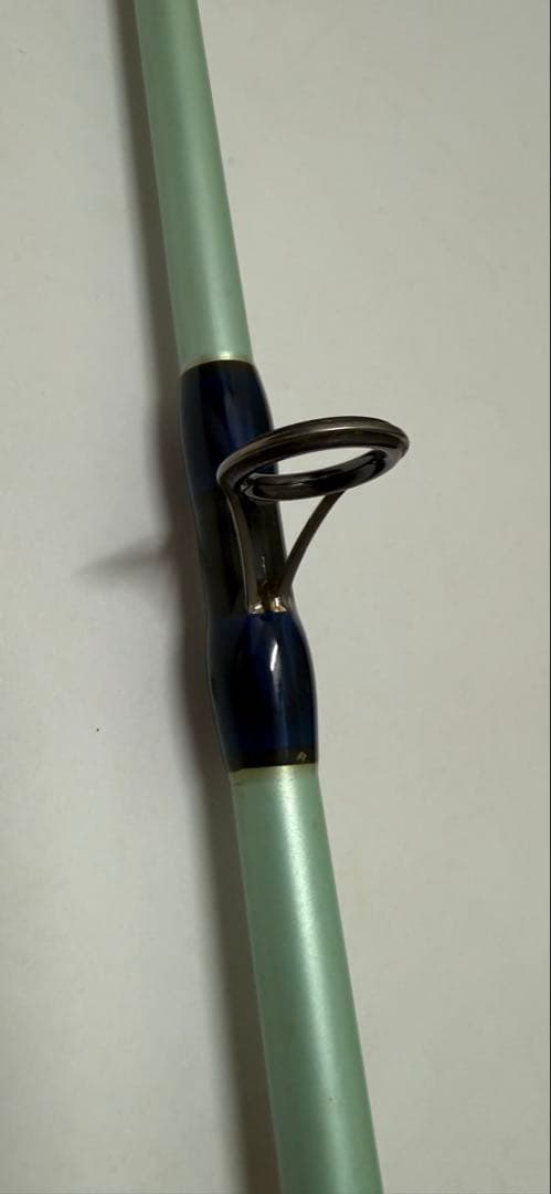 【2/22誕生日セール】 PALMS CORAL STAR CGJ-7016i