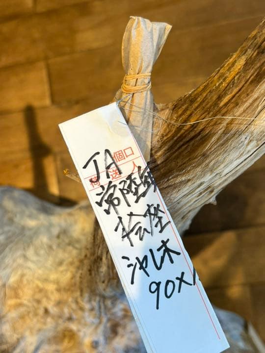 流木　特大　桧　ヒノキ　インテリア