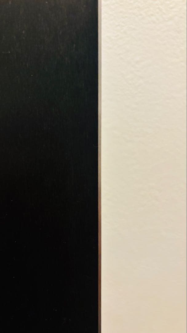 HEAD ヘッド スキー板 WCR REBELS E-GS RD 181cm