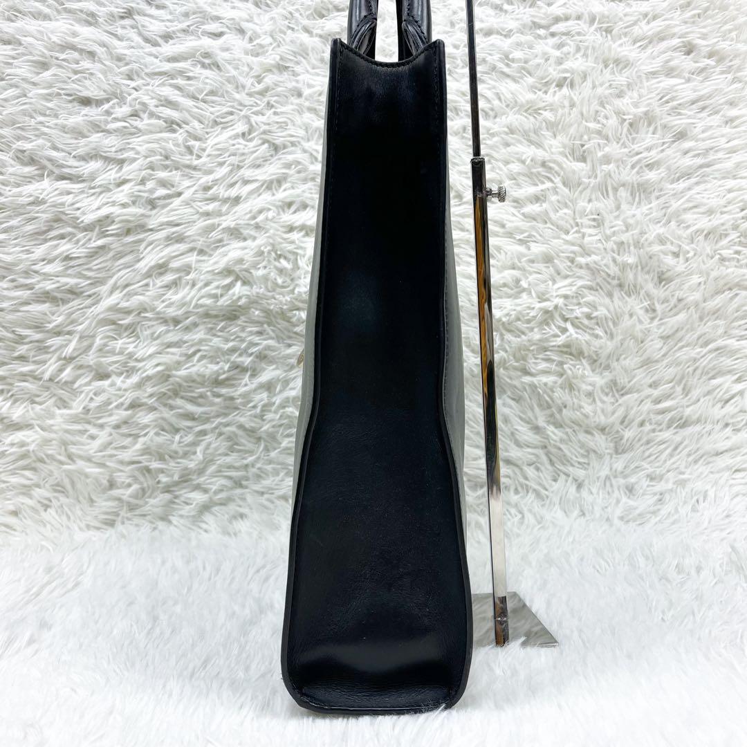 超希少 ボルドリーニセレリア スターレオーネ コラボ 2way トートバッグ