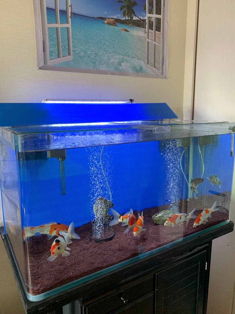 水槽コトブキ　90cm