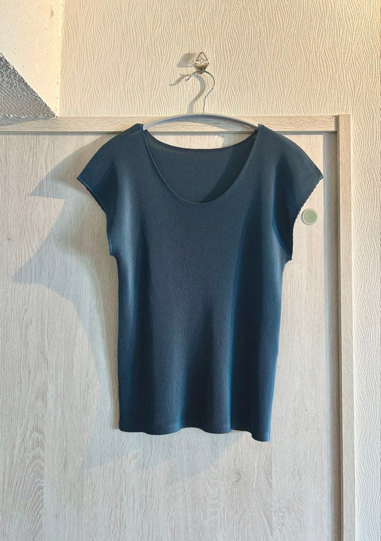 あや転勤族さま専用プリーツプリーズ pleatspleaseミスト