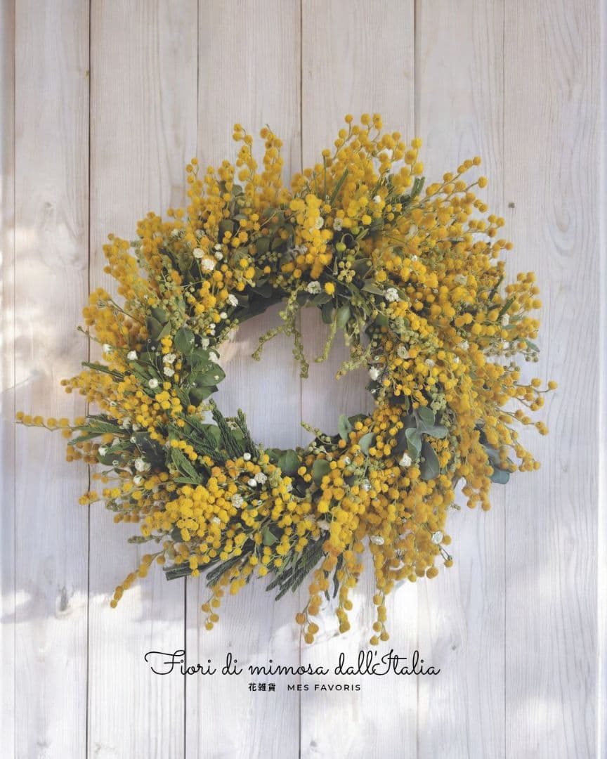 2種のミモザとカスミソウの春待ちリース