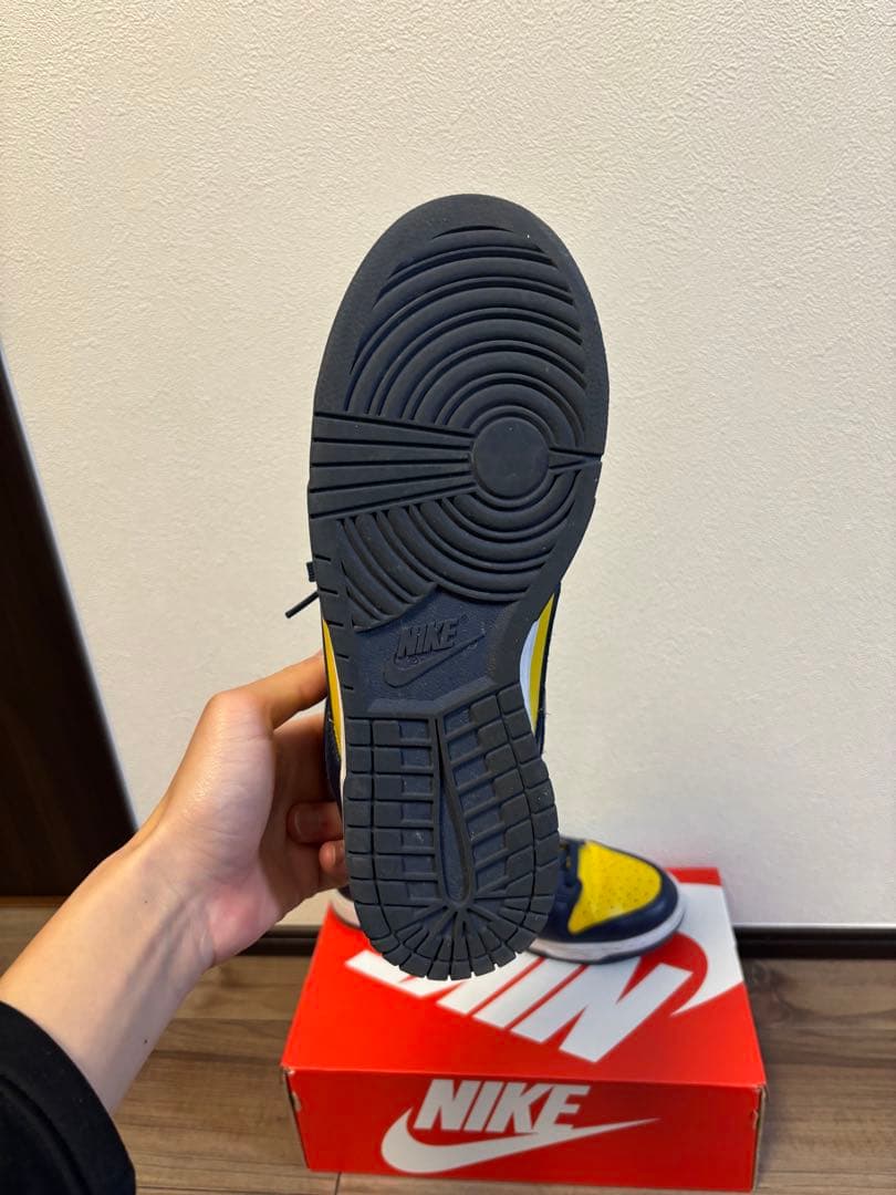 阿部ちゃん Nike Dunk Low Michigan