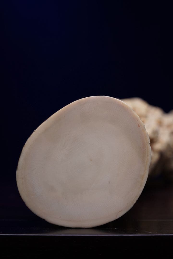 天然マンモス牙美しい手作り彫刻至尊九龍戯珠 置物