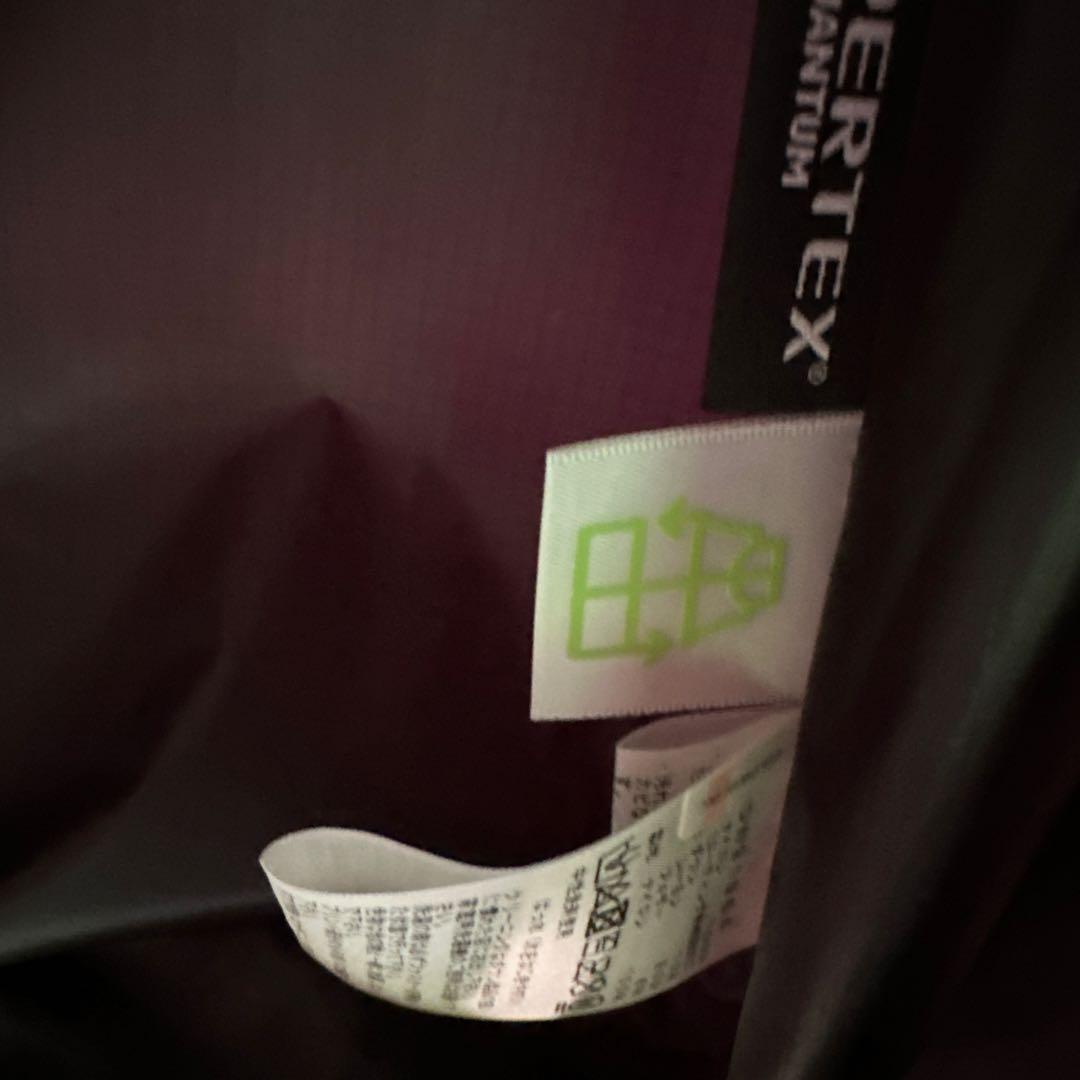 THE NORTH FACE WS Down Shell Coat M ブラック