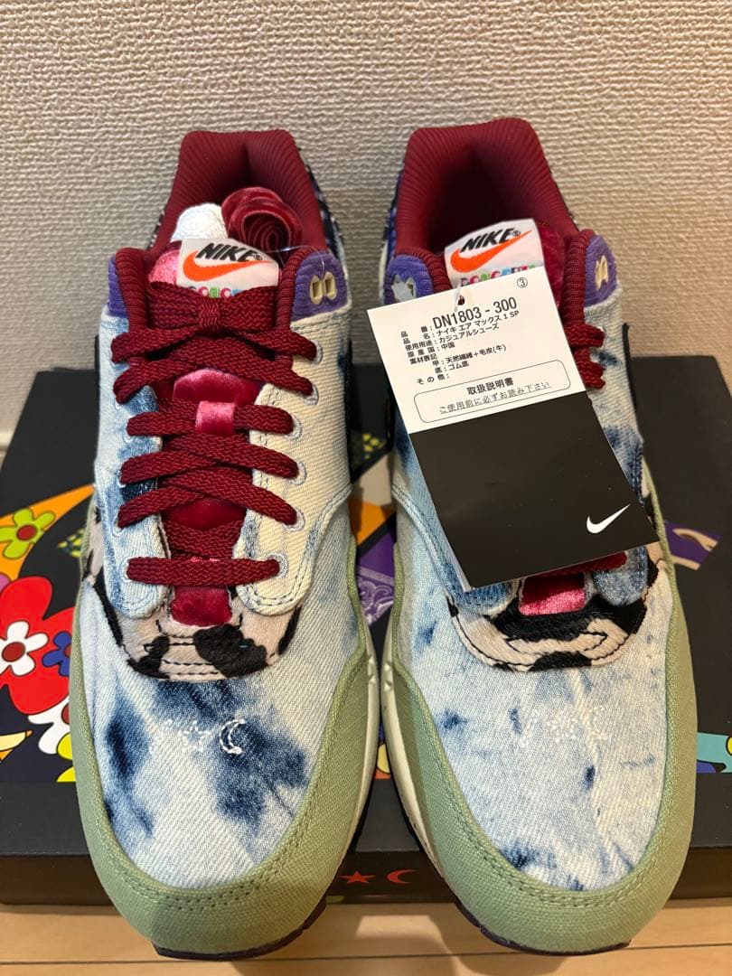 Concepts × Nike Air Max 1 \