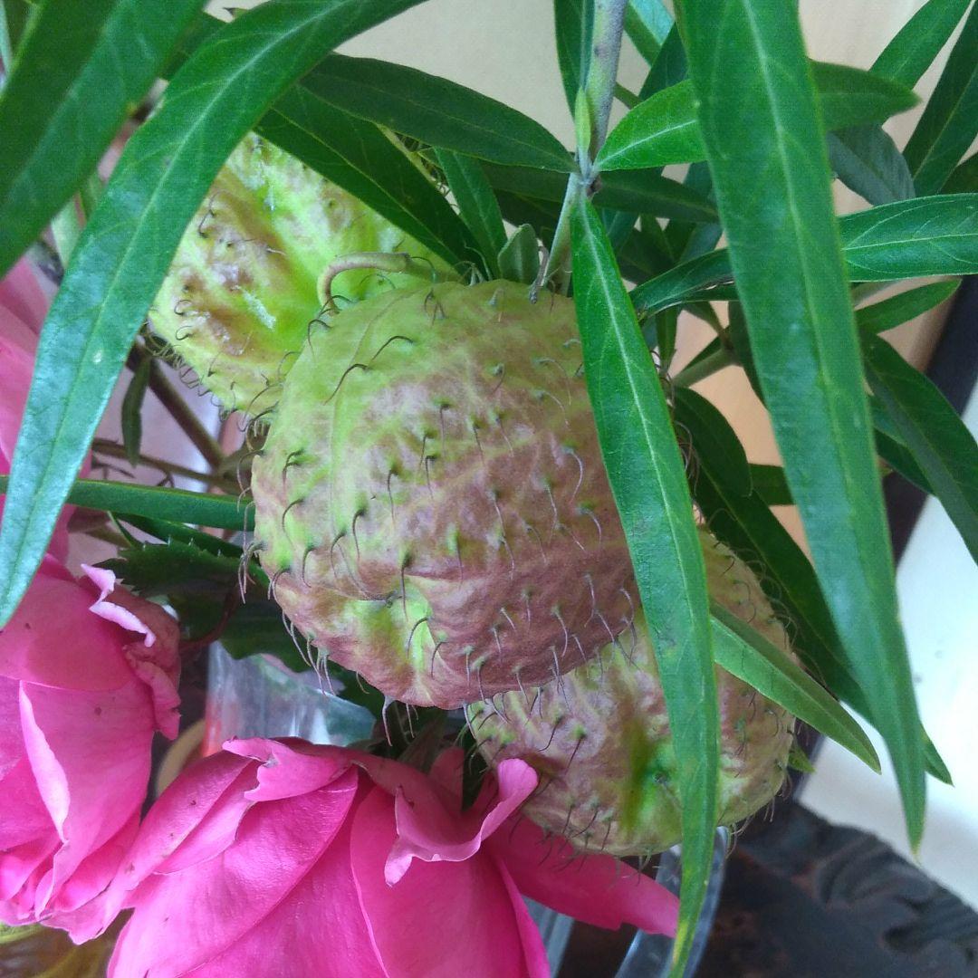 ご存知ですか?
