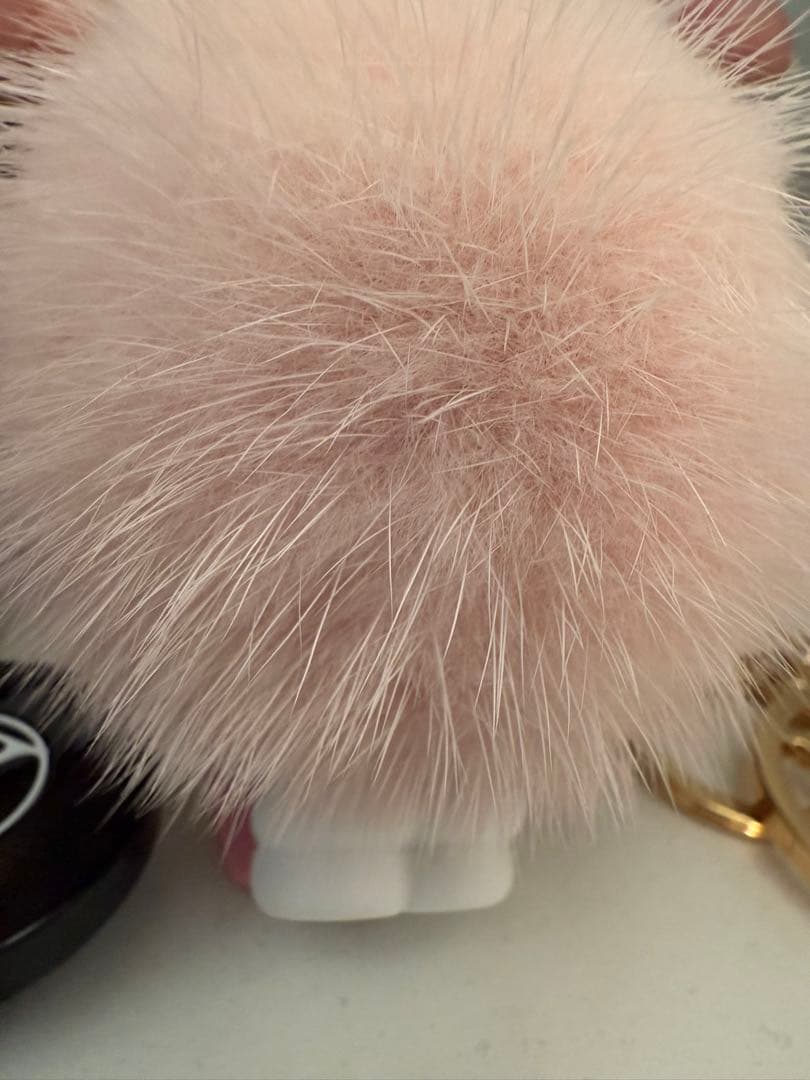 Louis Vuitton キーホルダー ミンク未使用