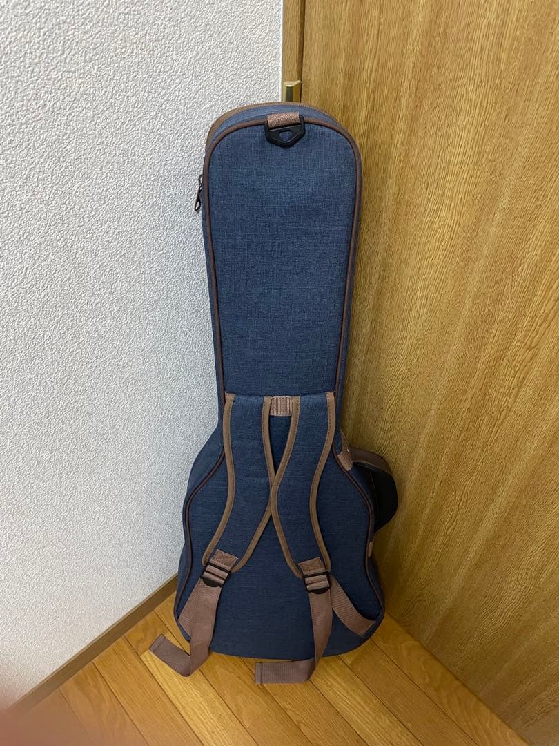 Cordoba （コルドバ）Stage Guitar Amber エレガット