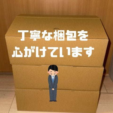 MIZUNO(ミズノ) ユニセックス大人 ウエーブモーメンタム 2 部活 屋内m