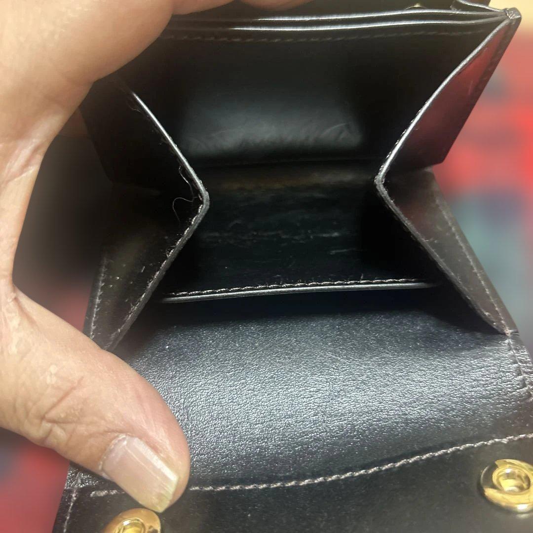 ワイルドスワンズ　ポント　サドルブラック