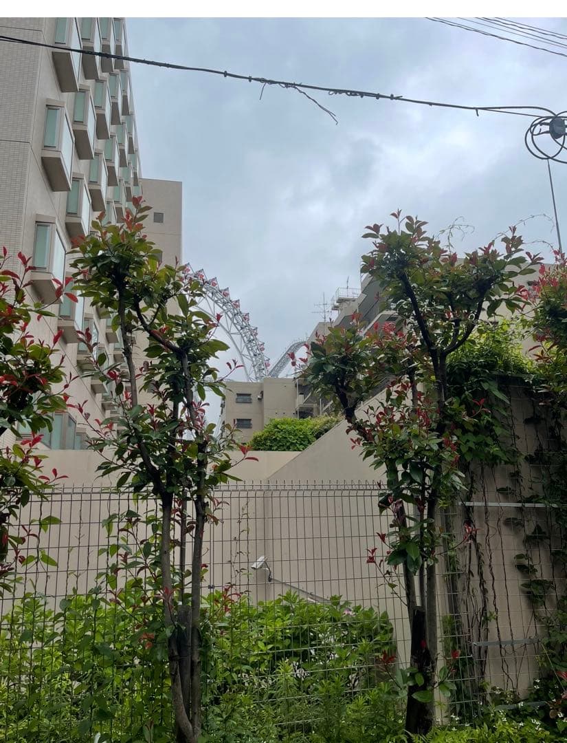 江戸時代〜江戸後期