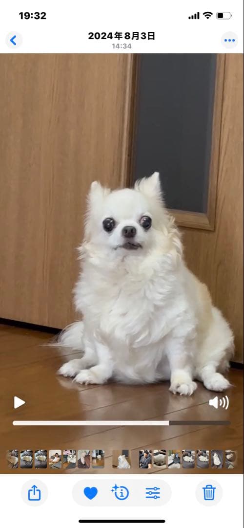 画像確認用　顔