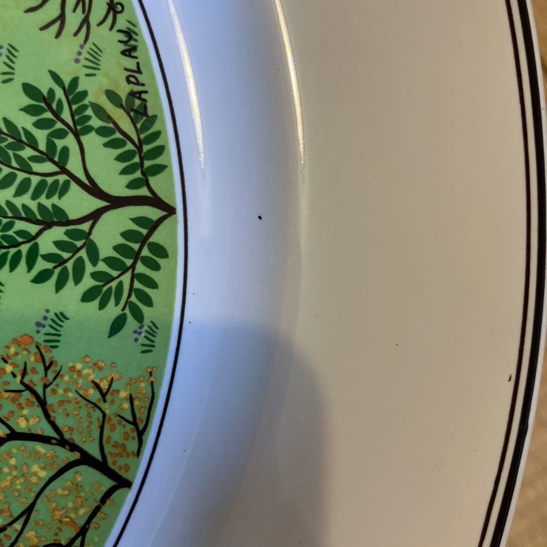 ヴィレロイボッホ　プレート　6枚セット　デザインナイーフ　27cm