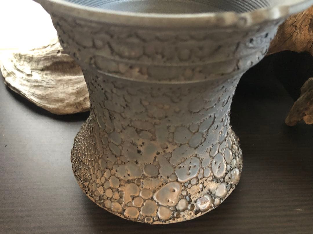 【美品未使用】手造り作家鉢　塊根珍奇　一点物　ビザール