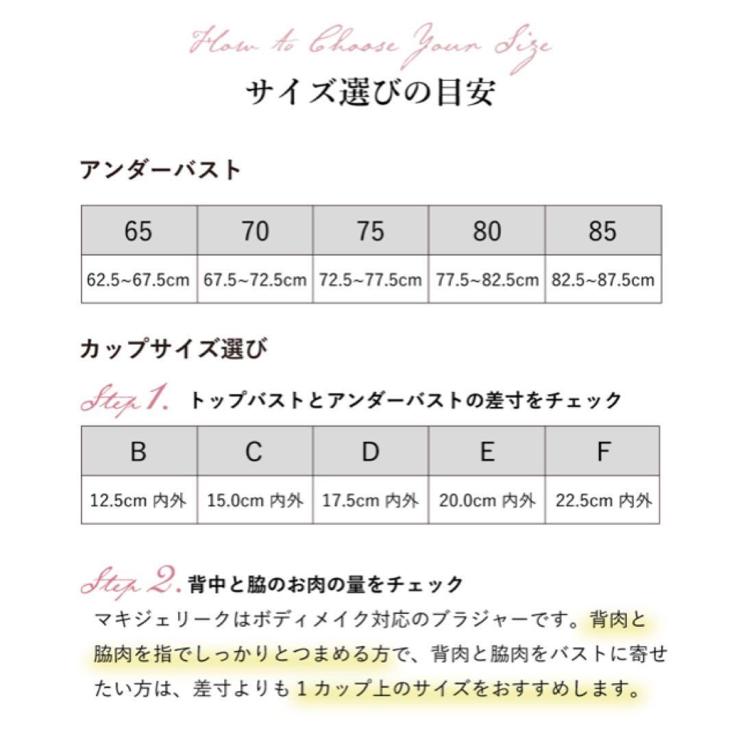 MARUKOマキジェリーク ブラ&ショーツ（ネイビー×パープル）