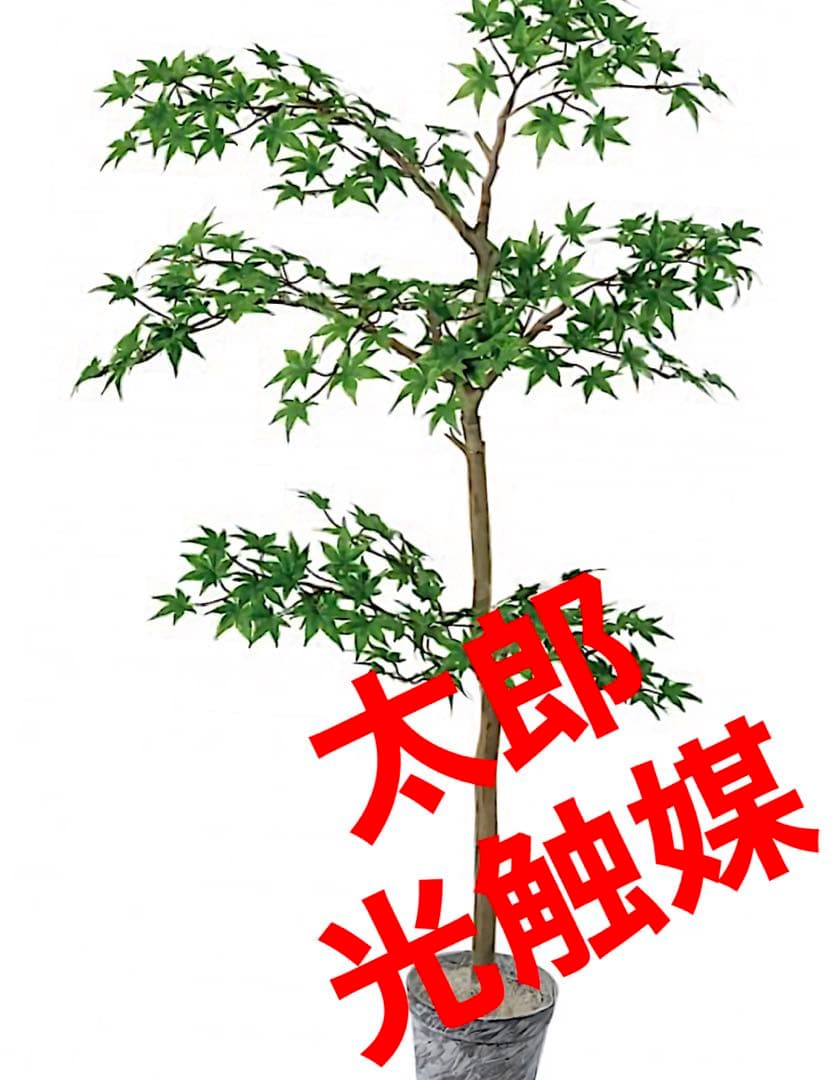 光触媒　人工観葉植物　ウォールグリーン　フェイク　ジョイントメープルツリー