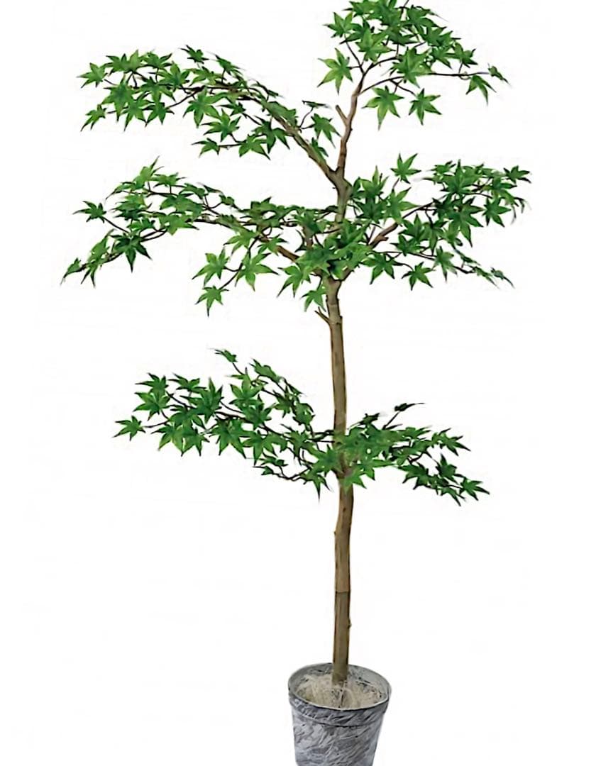 光触媒　人工観葉植物　ウォールグリーン　フェイク　ジョイントメープルツリー