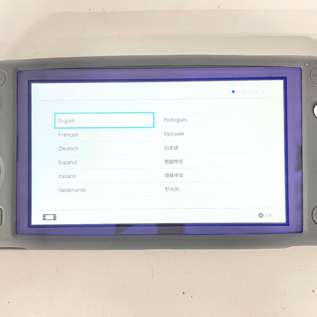 ☆ Nintendo Switch Lite グレー 本体 初期化済み