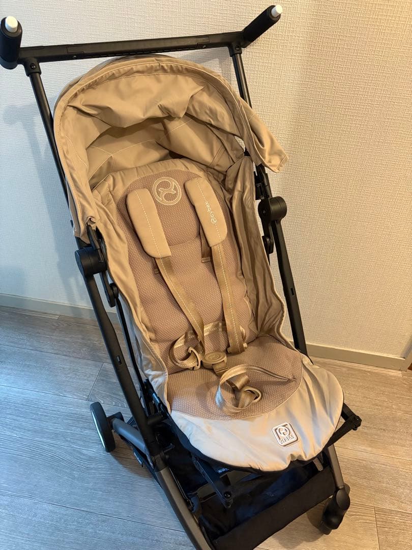 リベル 2025 最新　サイベックス　アーモンドベージュ