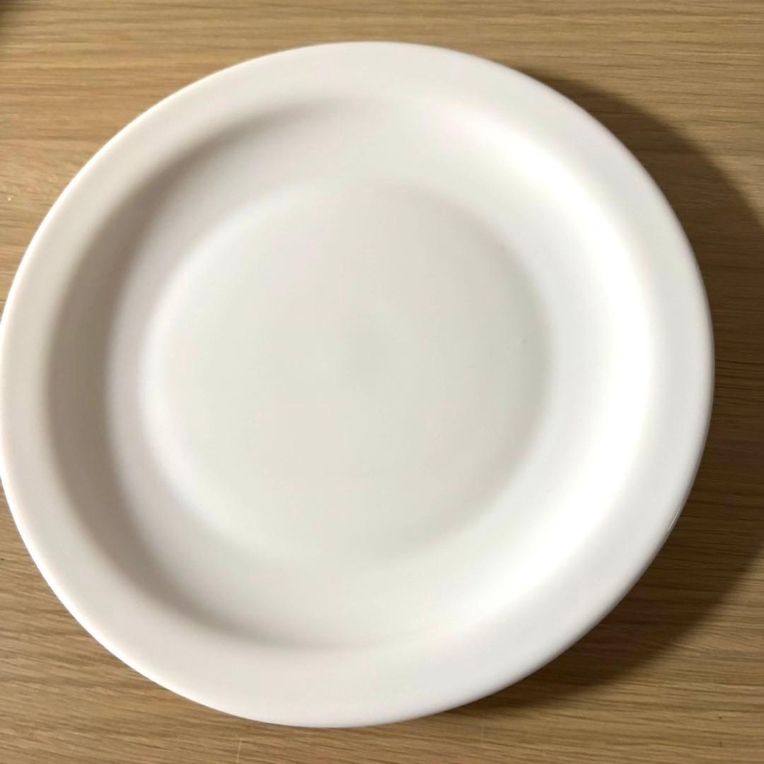 まとめ売り 20枚 業務用 フランス製 アルコパル レストラン 皿