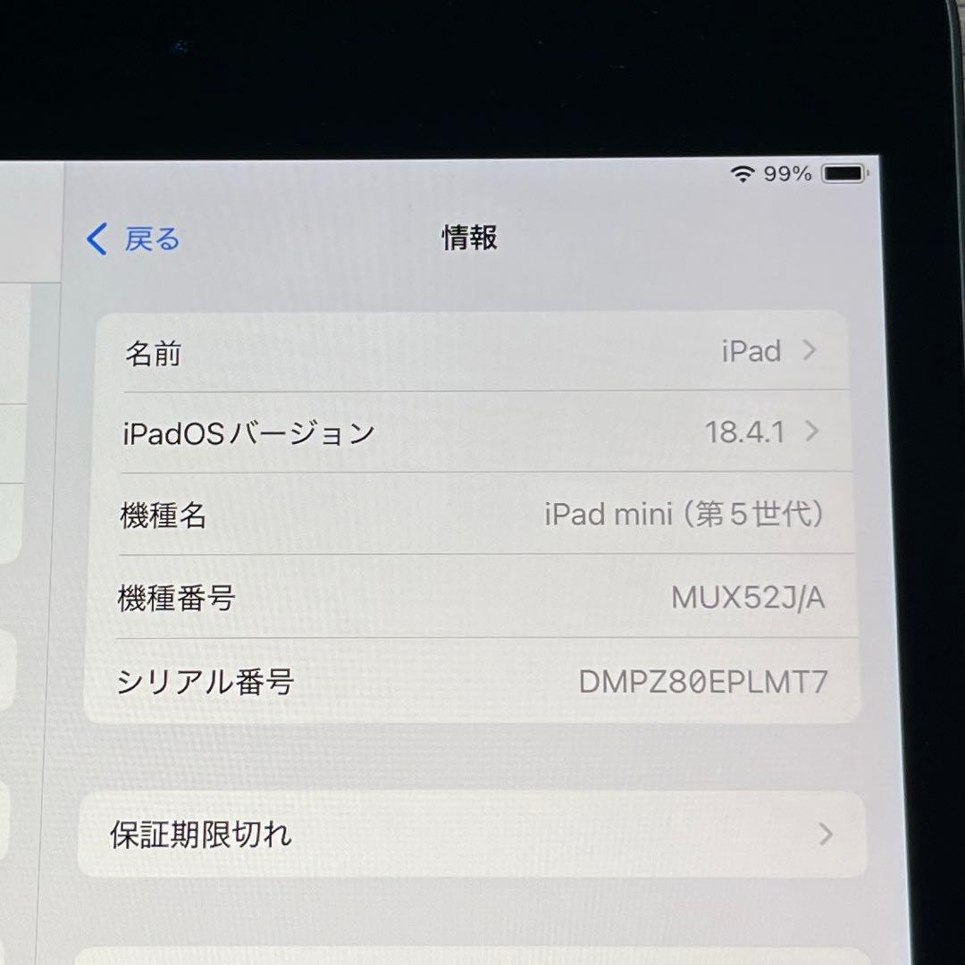 【早い者勝ち】 iPad mini 第5世代 64GB