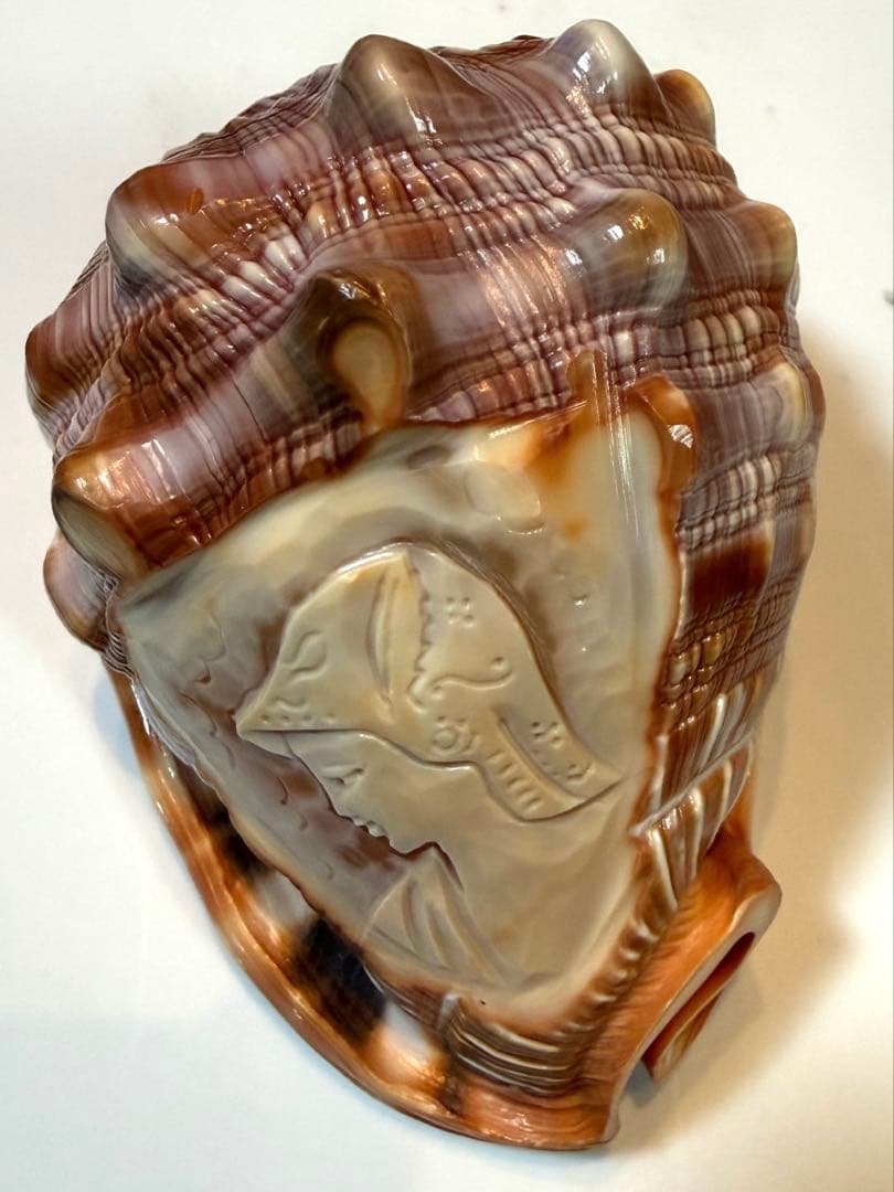 シェル カメオ インテリア 置物 ディスプレイ ②