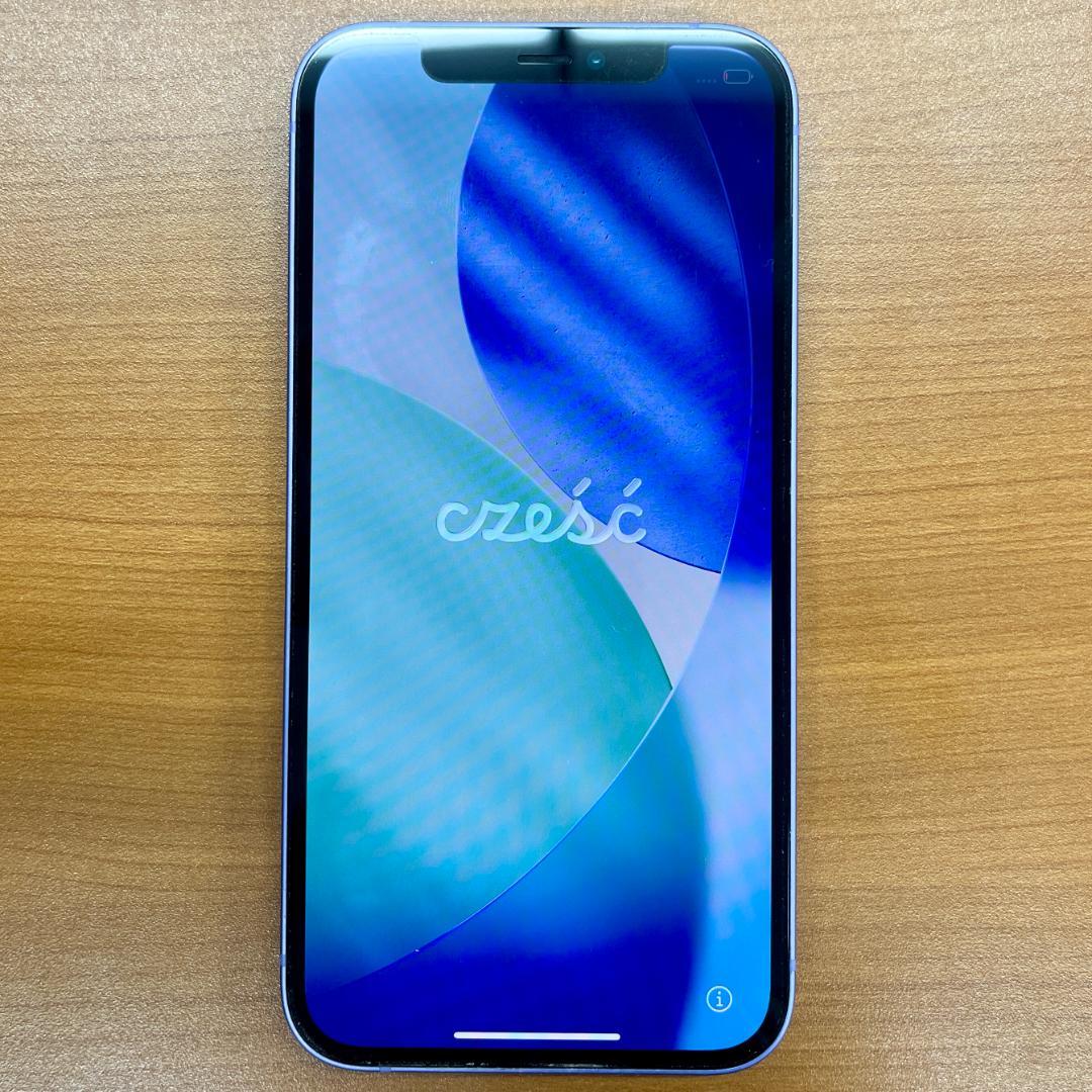 V*W様 動作確認済み iPhone 12 256GB ID16TB98